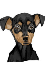 動物イラスト