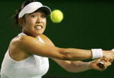 ��¼����������