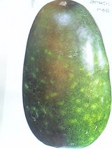 e6714dc7.