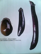 f25b575a.