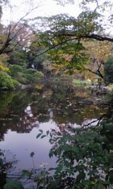a82d0b98.jpg