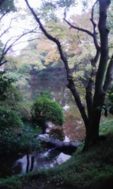 c8202b33.jpg