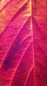c8e476df.jpg