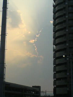 SN320002_001_001.jpg