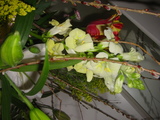はな4