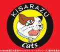 木更津キャッツ