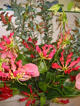 b8650840.JPG