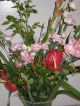 f659244e.JPG