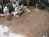 DSC04561