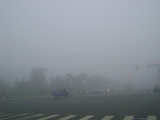 DSC01535