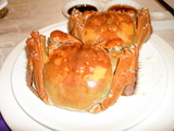 DSC04436