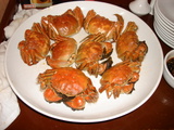 DSC04459