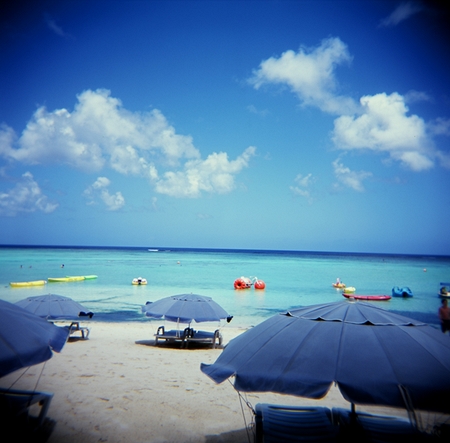 HOLGA�����ӎݎˎގ���