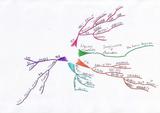 buzan002