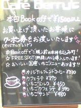 berry's01