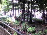 中根公園