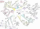 �ޥ���ɥޥå�_���������Ĵ�ֱ�_060615