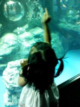 しながわ水族館01
