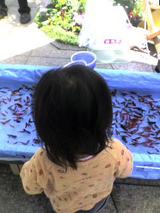 金魚すくい