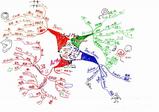 mindmapSemi