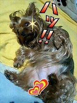 �𻣤Ф줿��