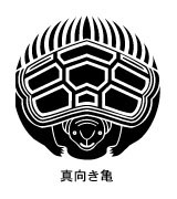 真向き亀