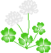 クローバーと花