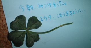 �����ʤ������λ���