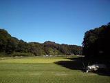 のどかな風景