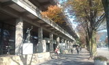 4d5d9246.jpg