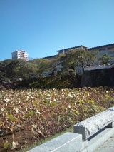 00b865a5.jpg