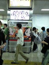 066a2b26.jpg