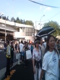 66d0db33.jpg