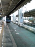 91c8a813.jpg