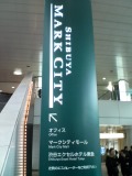 98dd116b.jpg
