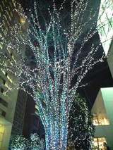 a846a952.jpg