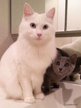 SORA & EVE
