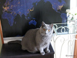 vincent5