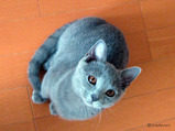 eclat3