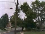 utility poles and wire 2