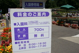 料金は700円