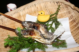 岩魚の塩焼き