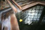 うなぎ湯