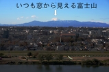 いつもの
