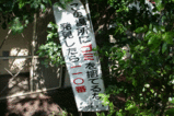 多摩川の2