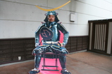 おさかな市場
