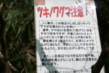つきのわぐま