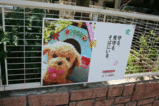 自由が丘
