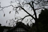 瑞巌寺