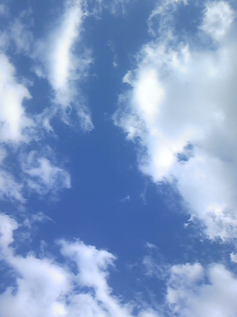 Image975